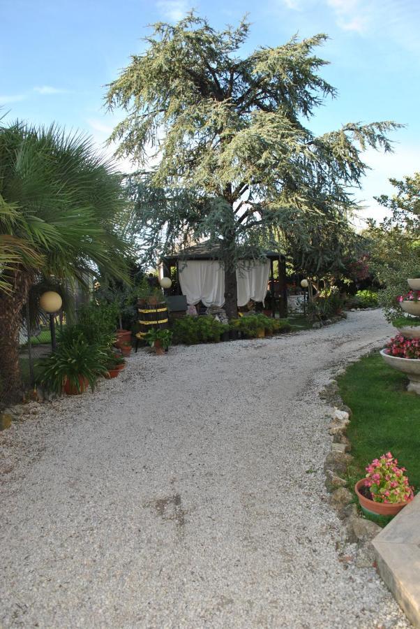 Villino Alle Terme Viterbo Eksteriør billede